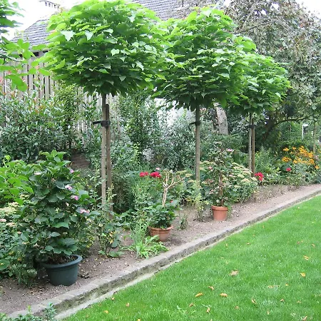 De Oude Brouwerij 3*