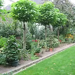 De Oude Brouwerij 3*