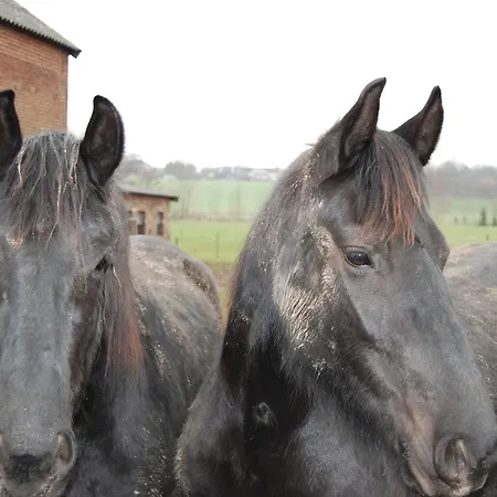 호텔 De Oude Brouwerij