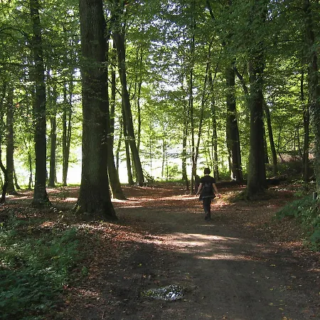 De Oude Brouwerij 3* ميشيلين