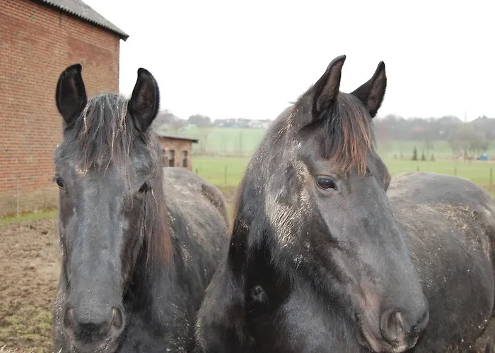 Hotel De Oude Brouwerij